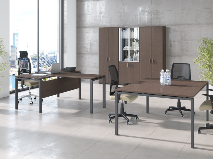 Тренд (Trend) 01_Trend_executive.jpg